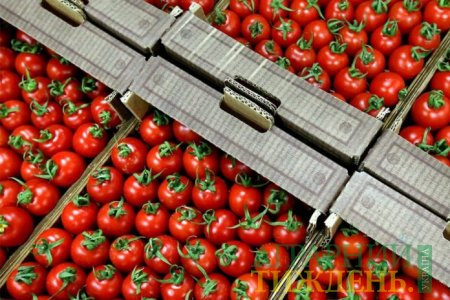 Україна скоротила експорт томатів майже на чверть