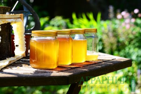 Ціни на український мед залишаються стабільними