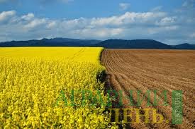 Україна має низький рівень ефективності використання земельних ресурсів