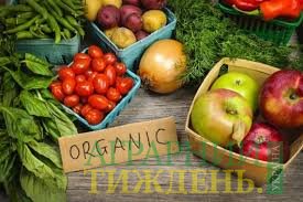 Экспортные возможности органик-продукции в Украине