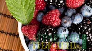 Органічна ягода є високорентабельним продуктом - думка
