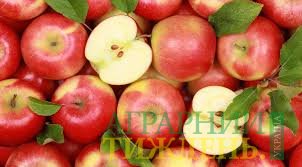 Украинские яблоки отправились в Персидский залив