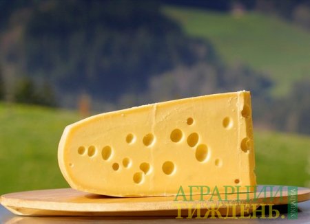В Украину пытались незаконно ввезти почти 0,5 тонн твердого сыра