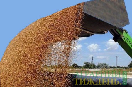 Итоги 2017/18 зернового сезона в Украине