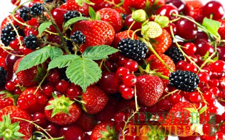 Україна є найбільшим "швидкоростучим" постачальником фруктів та ягід до Польщі