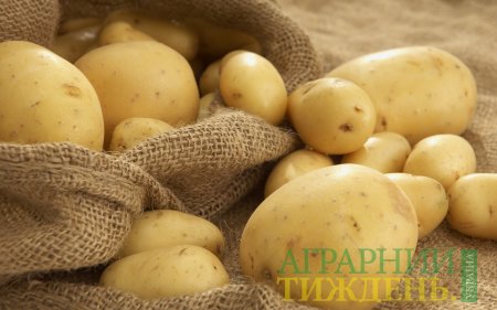 Вплив на Україну зниження виробництва картоплі в Європі