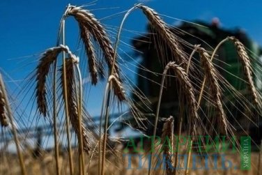 Українськими аграріями намолочено майже 47 млн тонн зерна