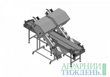 В Україні створена машина, здатна очищати 1,2 т ріпчастої цибулі за 1 годину