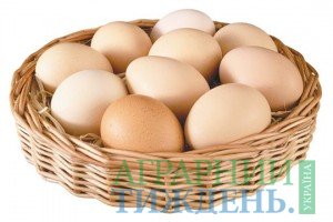 Експорт курячих яєць збільшився на 28%