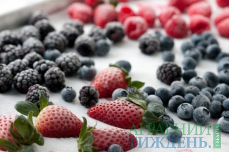 Украинские замороженные ягоды и овощи продолжают интенсивно экспортироваться