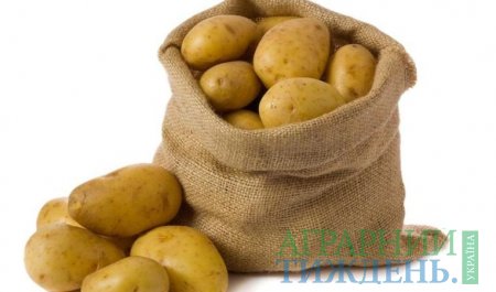 В Україні до кінця року здорожчає картопля