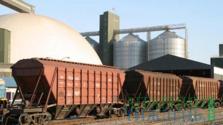 На відправлення зерна до деяких портів введено тимчасові обмеження - УЗ
