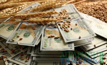 В ухваленому Держбюджеті-2019 аграріїв позбавили 1 млрд грн