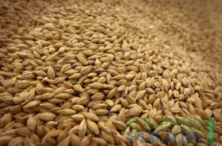 Участники зернового рынка высказали мнения о введение военного положения