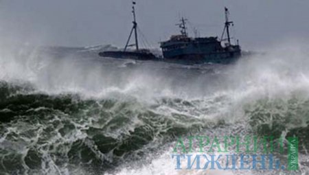 Основні ризики для рибної галузі України через ескалацію конфлікту на Азовському морі