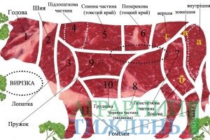 Для більшості українців яловичина це малодоступний вид м'яса