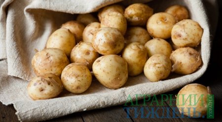 В Україні відмічено зростання цін на картоплю