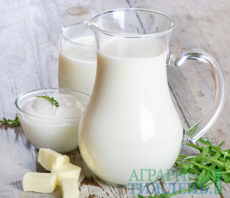 Попередні підсумки молочного ринку України
