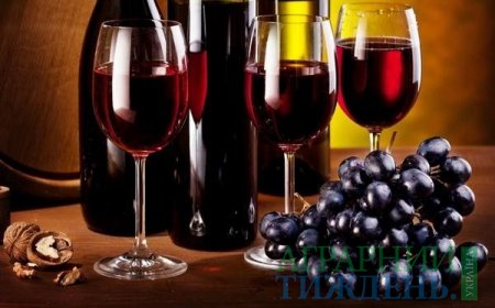 Новий Податковий кодекс України щодо використання сировини для виготовлення вин коньяків суперечить європейському законодавству