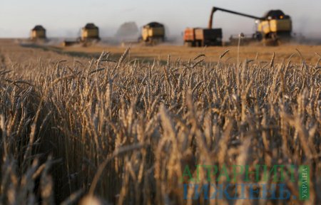 Запаси зерна в Україні збільшилися на чверть