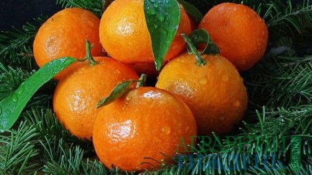 Новорічний фруктовий кошик в Україні за рік суттєво подешевшав