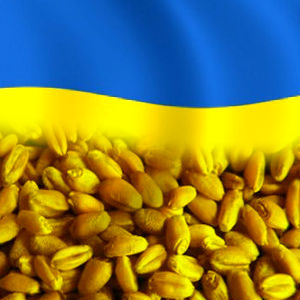 За 11 місяців 2018 року український аграрний експорт перевищив $17 млрд, - Ольга Трофімцева