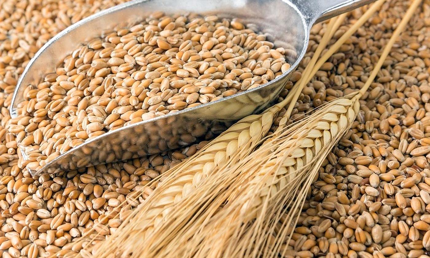 Експерти USDA підвищили оцінку світового виробництва пшениці в 2018/19 МР