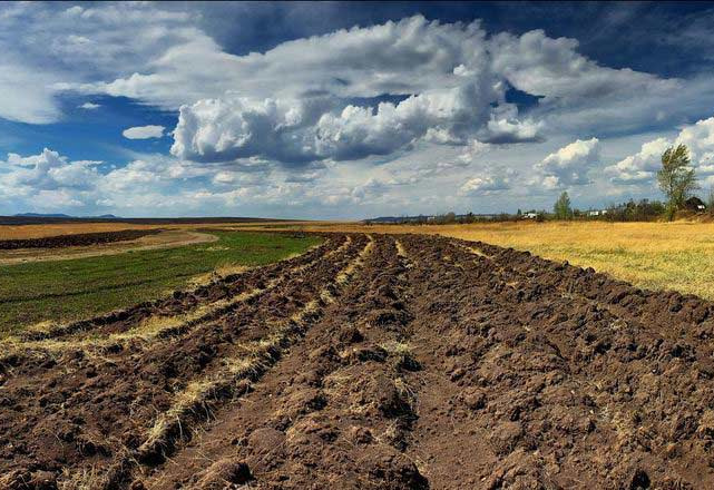 OОН допоможе фермерам зупинити деградацію земель в Україні