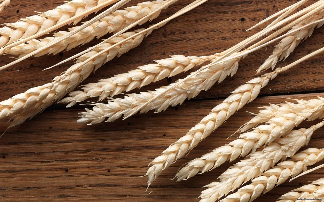 Україна з початку сезону експортувала 31,3 млн. тонн зернових культур