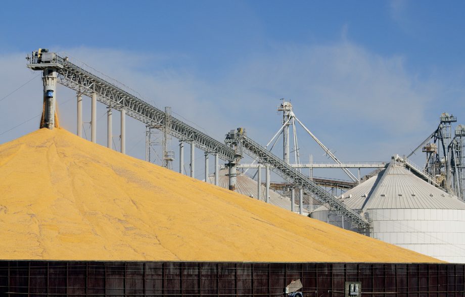 У 2019 році експорт всіх зернових з України складе 52 млн тонн