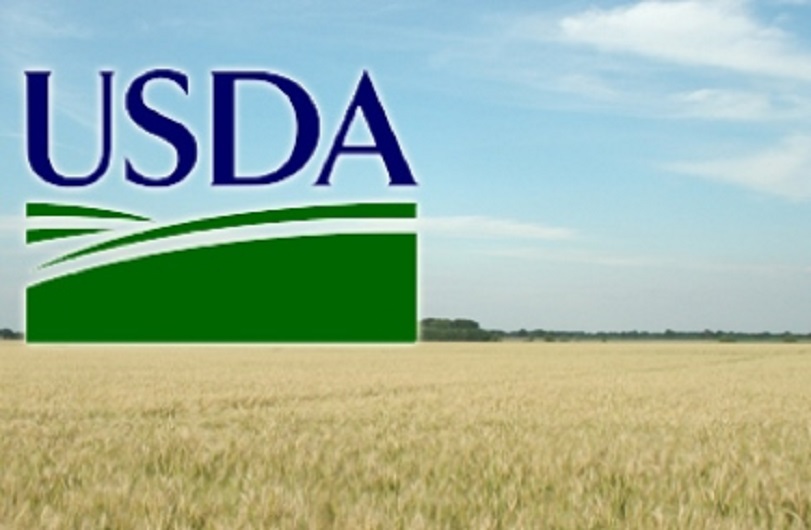 Звіт USDA обвалив ціни на пшеницю