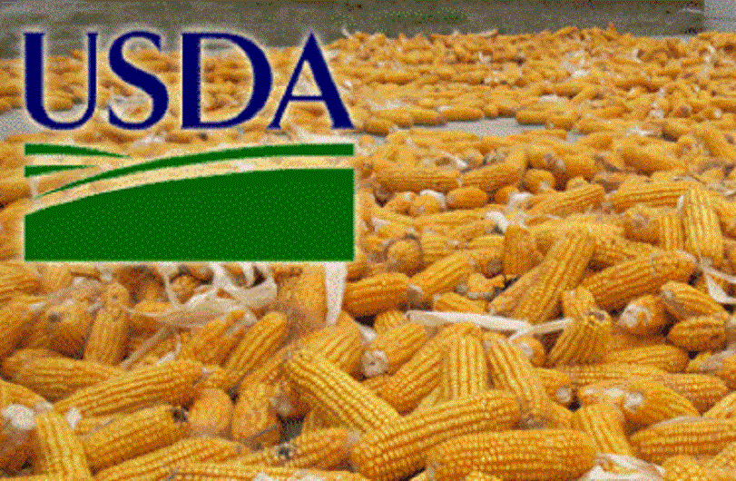 Ціни на кукурудзу відреагували на звіт USDA зниженням