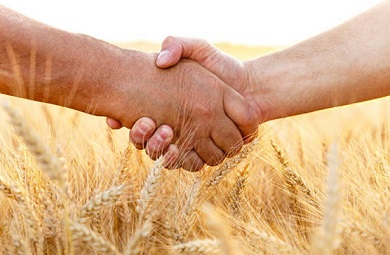 Запропоновано виділити 700 тис. грн на підтримку фермерських господарств– законопроект