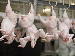 Росія нарощує експорт курятини до Китаю