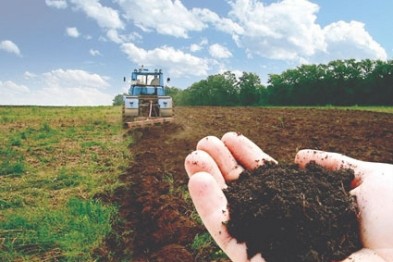 Як скоротилася кількість фермерських господарств в Україні – Держстат