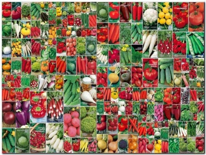 Пам’ятка споживачам при купівлі насіння овочевих і квіткових культур