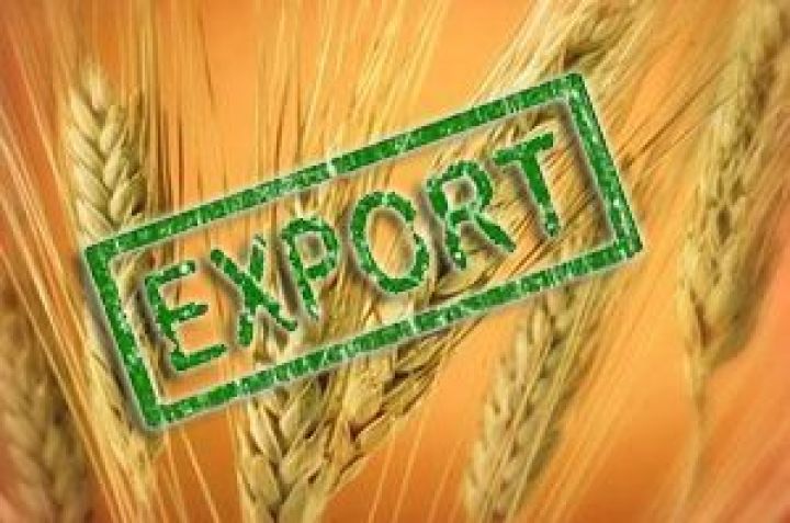 Експорт зернових становить понад 38,6 млн тонн