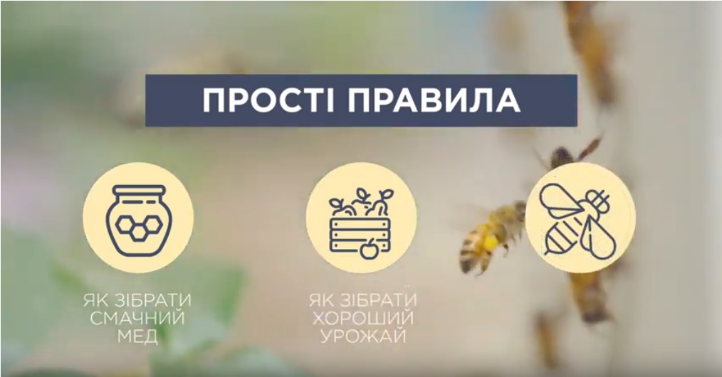Створено ролик про профілактику отруєння бджіл