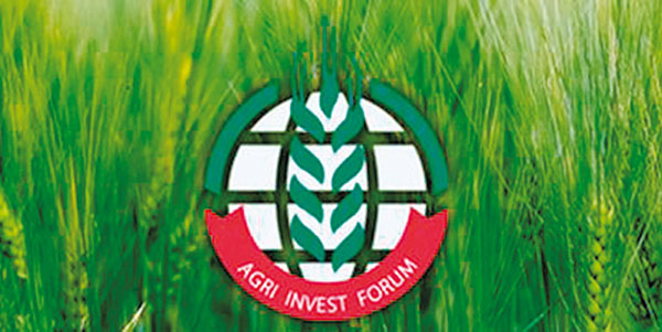 VІ Міжнародна конференція аграрних інвесторів Agri Invest Forum-2019