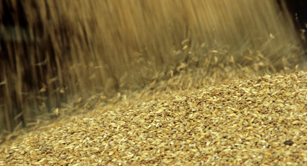 З початку 2018/2019 МР Україна вже експортувала понад 42 млн тонн зерна