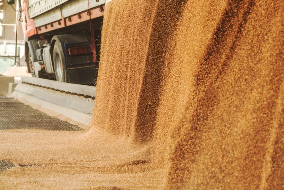 Експорт українського зерна з початку поточного сезону перевищив 43 млн. тонн