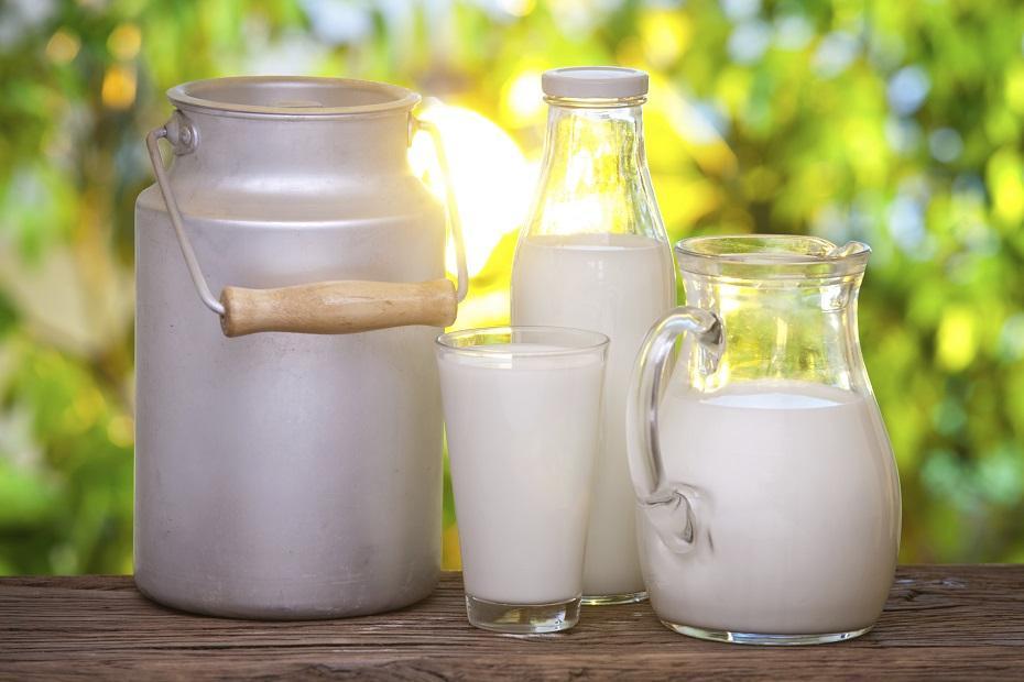 Прибутковість виробництва молока в Україні зросла майже на третину