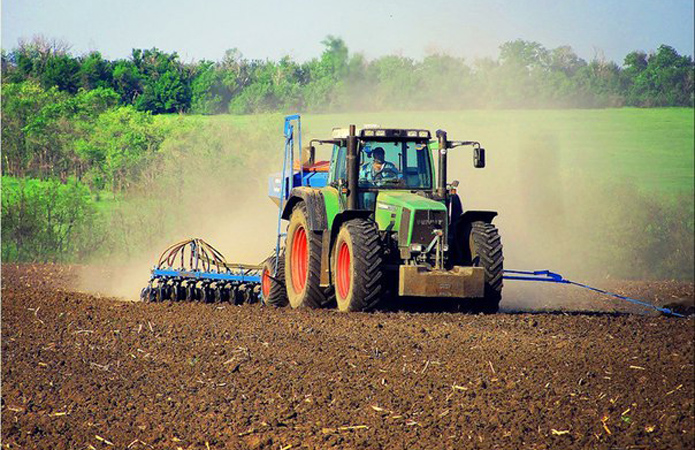 Посівна-2019: В Україні засіяно 6,3 млн га ярих зернових культур