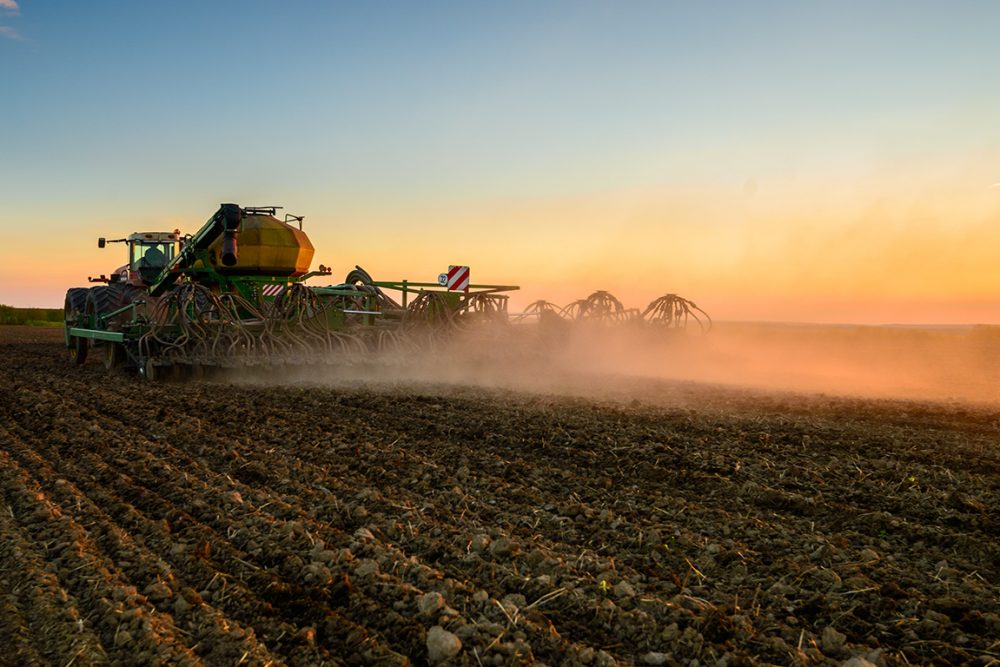 Посівна-2019: В Україні засіяно 90% площі цукровими буряками