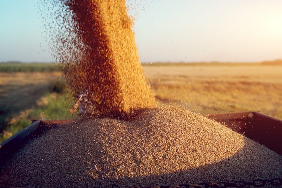 Експорт з України зернових, зернобобових та борошна