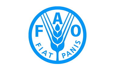 ФАО впроваджує новий проект що допоможе розвитку фермерства в Україні