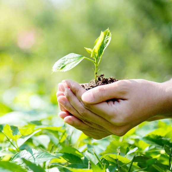 Держпродспоживслужба запрошує профільні асоціації долучитися до обговорення законопроекту про захист рослин