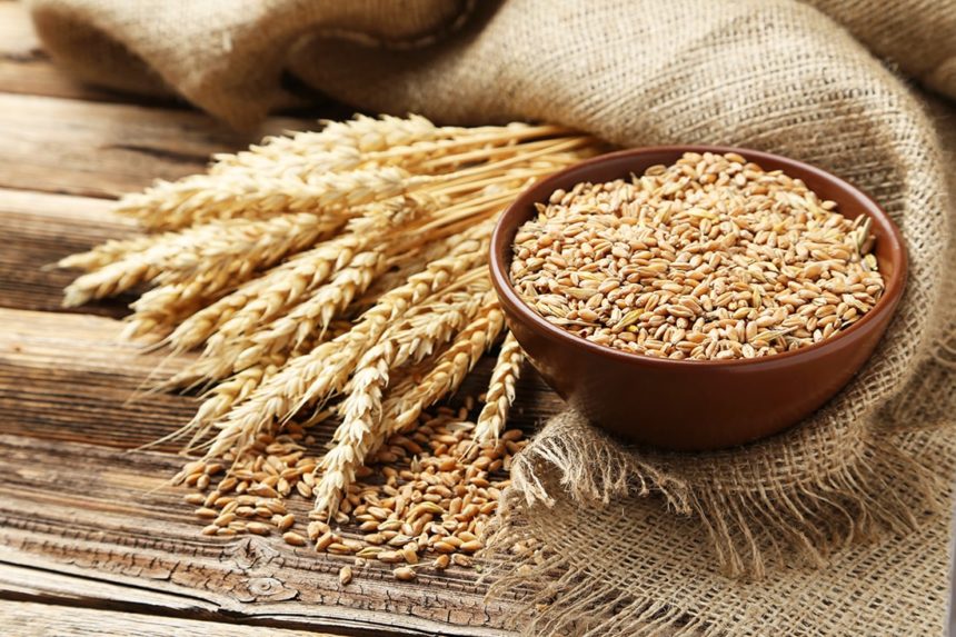 Жнива-2019: В Україні зібрано 2,7 млн тонн зерна нового врожаю