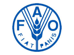 Поради з утилізації тварин від FAO переклали українською мовою