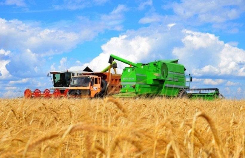 Жнива-2019: В Україні зібрано понад 11,3 млн тонн зерна